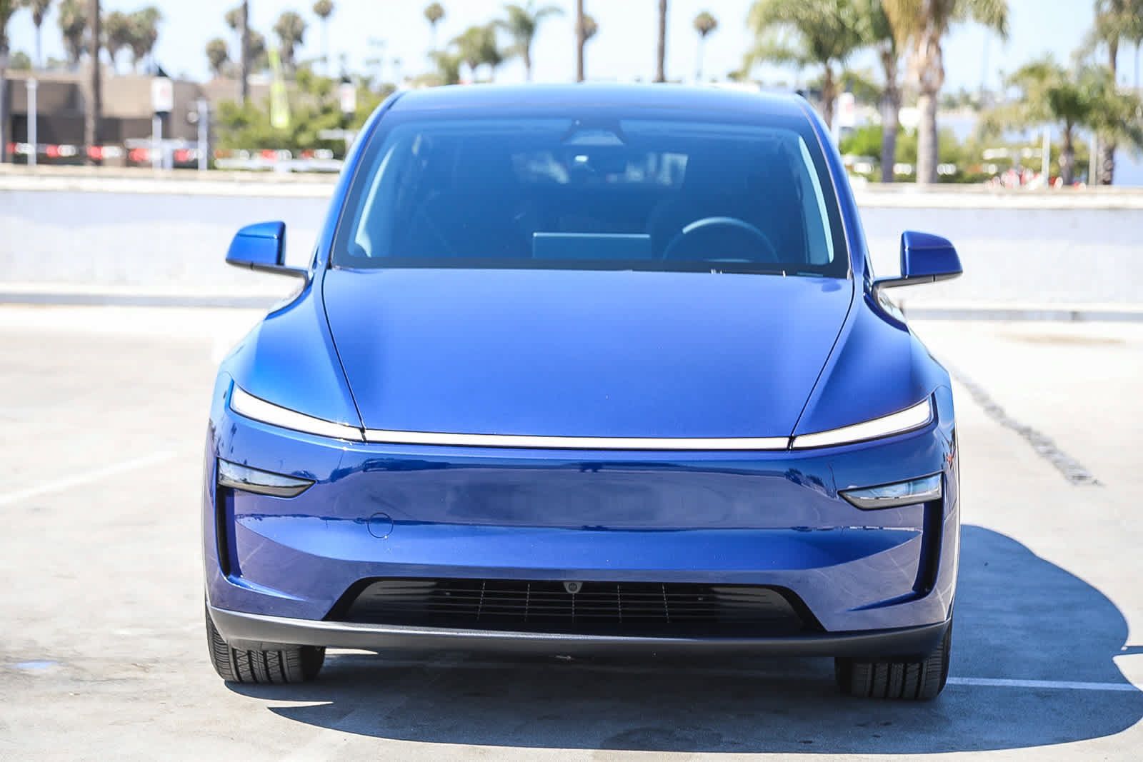 Tesla Model Y AWD Long Range